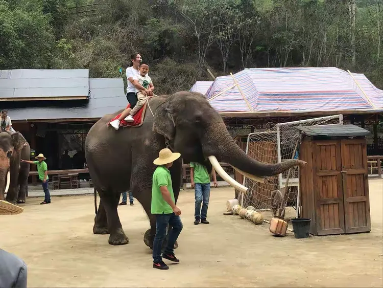BBIN电子-云南野象主场告捷，实力不容小视的简单介绍